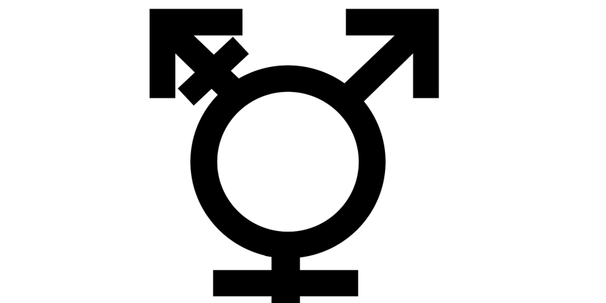 Transgender Trangender