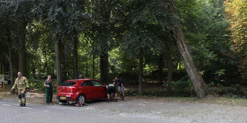 boom-omvallen-brandweer boom-omvallen-brandweer