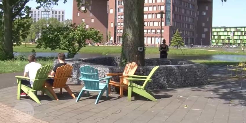 'Nederland heeft een boom die spreekt' 'Nederland heeft een boom die spreekt'
