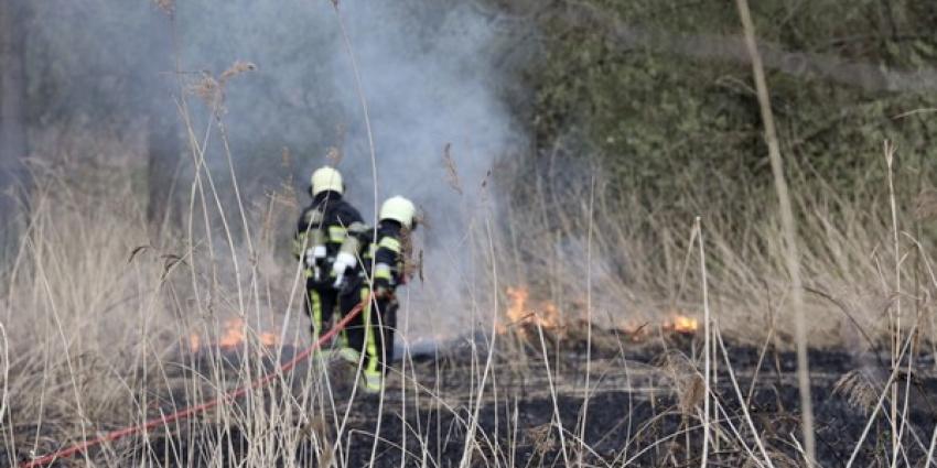 felle brand, verwoesten, veld, riet, boxtel 