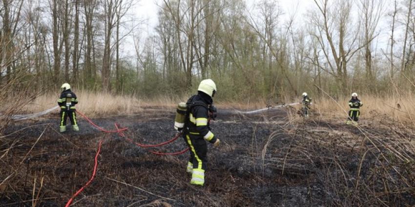felle brand, verwoesten, veld, riet, boxtel 