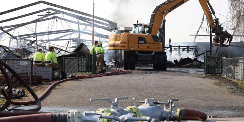 brand-loods brand-loods
