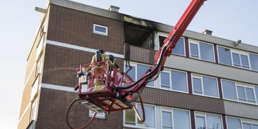 Konijn overleeft grote brand flat niet 