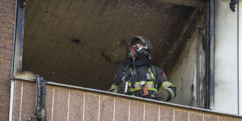 Konijn overleeft grote brand flat niet 