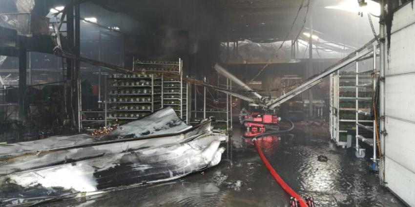 Grote brand verwoest plantenkwekerij in Roelofarendsveen Grote brand verwoest plantenkwekerij in Roelofarendsveen