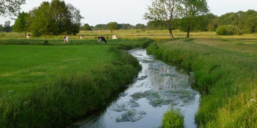 Nieuwe wandelroutes vanaf het Duurzaamheidscentrum Nieuwe wandelroutes vanaf het Duurzaamheidscentrum