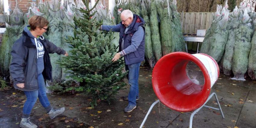 Meer mensen hebben al kerstboom in huis Meer mensen hebben al kerstboom in huis