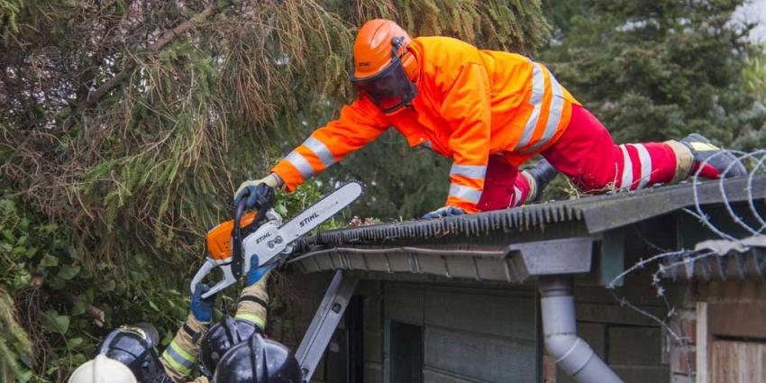 Boom valt door storm op schuurtjes en schuttingen Boom valt door storm op schuurtjes en schuttingen