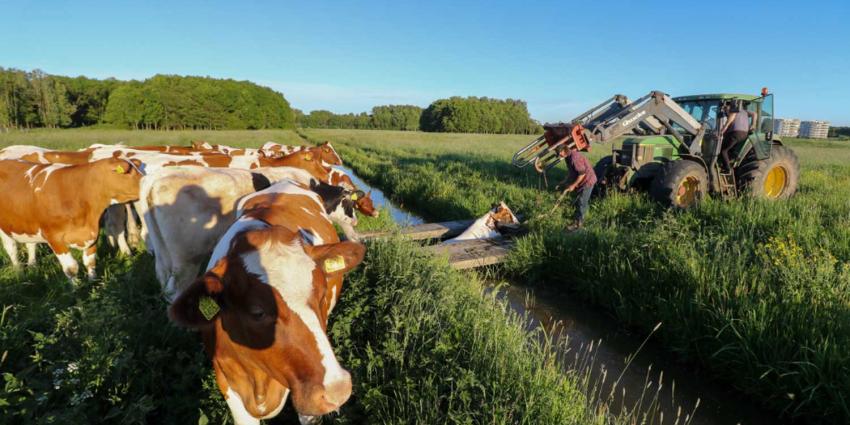 koe-sloot-tractor