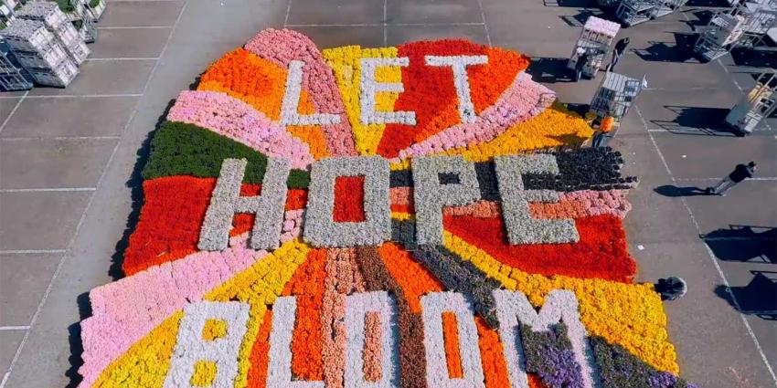 let-hope-bloom let-hope-bloom