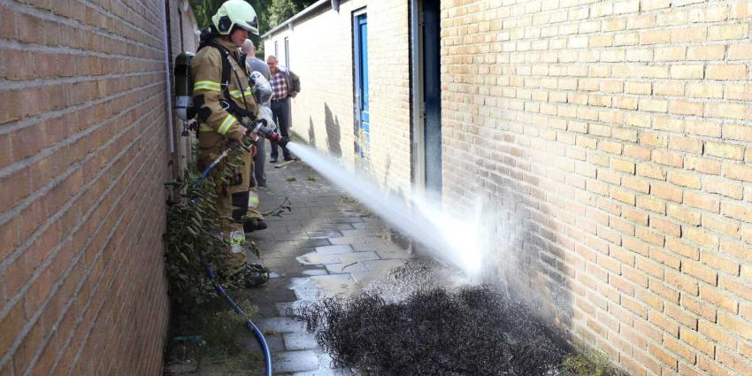 matras-brand matras-brand