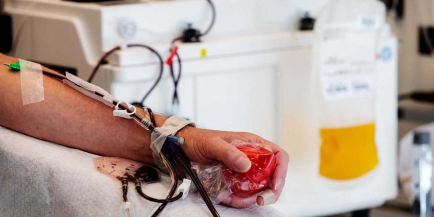 plasma-donor plasma-donor