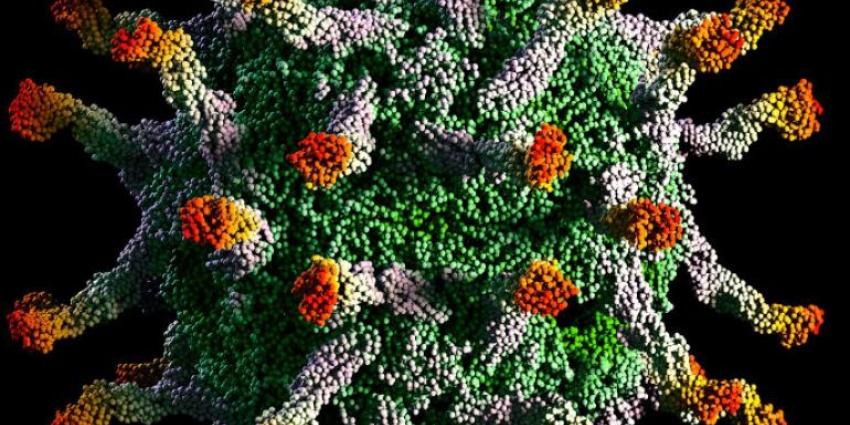 Poliovirus Poliovirus