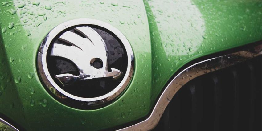 skoda-logo-motorkap skoda-logo-motorkap