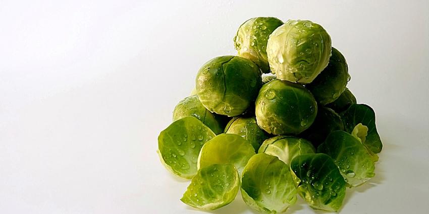 Export spruitjes naar recordhoogte Export spruitjes naar recordhoogte
