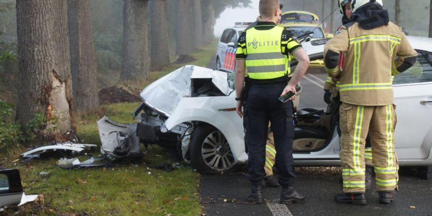 Automobilist botst tegen boom in Meppen