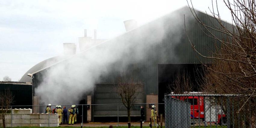 brand-loods brand-loods