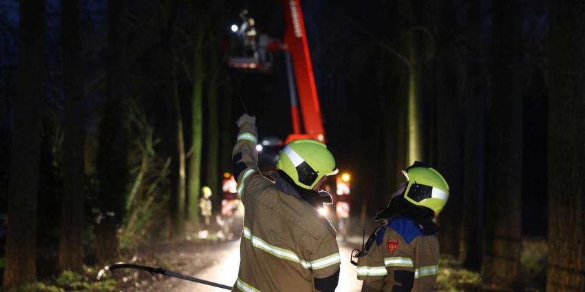 brandweer-storm-donker-takken brandweer-storm-donker-takken