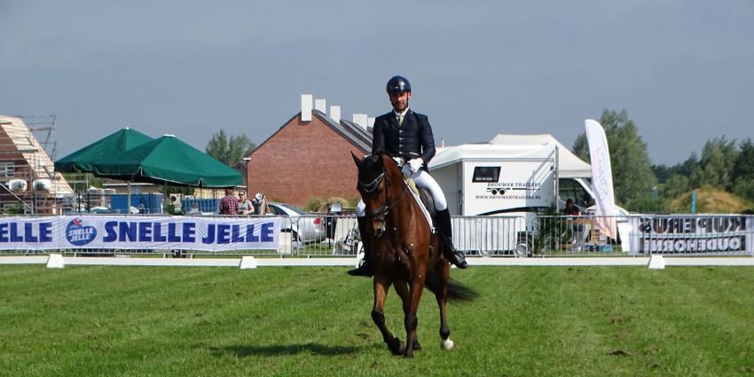 Concours Hippique Concours Hippique