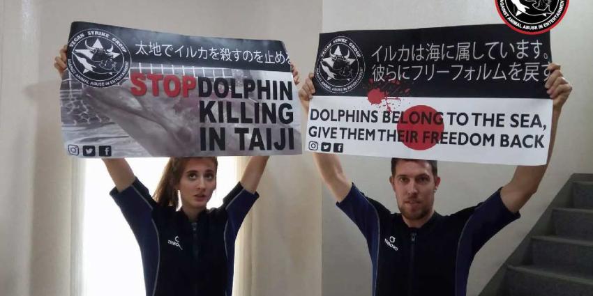 Nederlandse en Belgische dolfijnenvrienden vrijgelaten uit Japanse gevangenis Nederlandse en Belgische dolfijnenvrienden vrijgelaten uit Japanse gevangenis