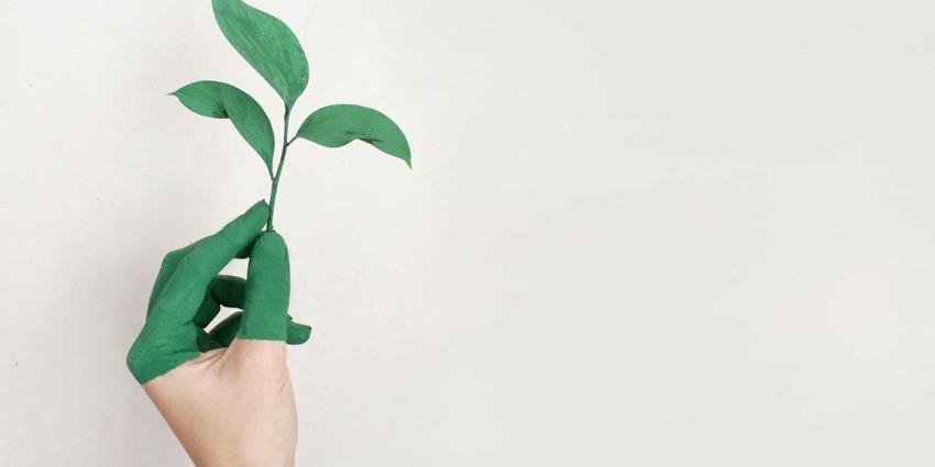 groen-milieu-duurzaam groen-milieu-duurzaam