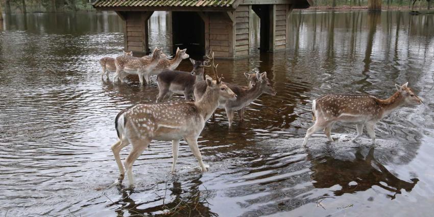 herten-water herten-water