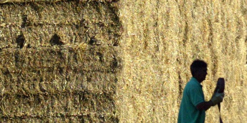 Vrouw zwaargewond na instorten Sarahpop Vrouw zwaargewond na instorten Sarahpop