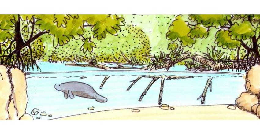 Grootste overdekte mangrove ter wereld komt in Arnhem