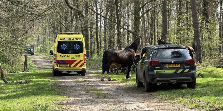 paard-ongeval-gewond
