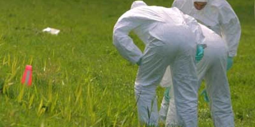 Foto van forensisch onderzoek grasveld | Archief EHF Foto van forensisch onderzoek grasveld | Archief EHF