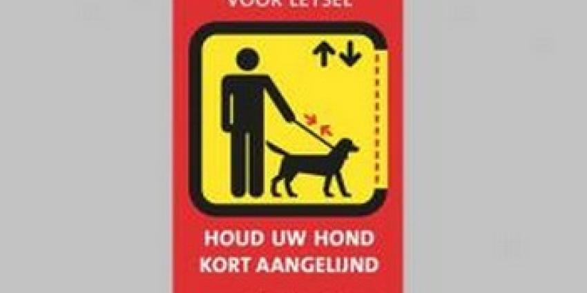 Foto van sticker van Liftinstituur | liftinstituut Foto van sticker van Liftinstituur | liftinstituut