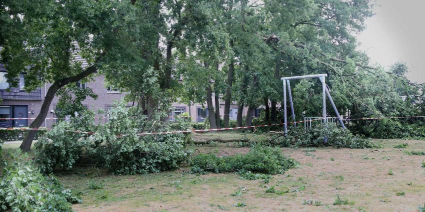 takken-storm-speeltuin takken-storm-speeltuin