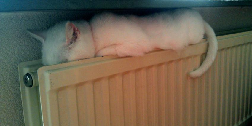 aardwarmte, gas, verwarming aardwarmte, gas, verwarming