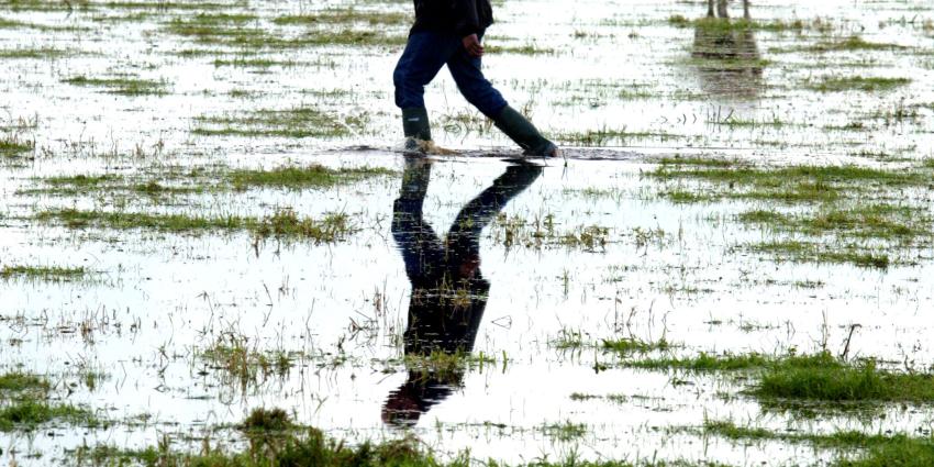 Waterschappen inden 2,7 miljard aan heffingen in 2016 Waterschappen inden 2,7 miljard aan heffingen in 2016