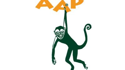 Java-apen niet naar proefdiercentrum maar naar AAP Java-apen niet naar proefdiercentrum maar naar AAP