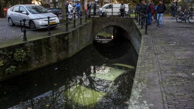 Auto kopje onder in Schiedamse haven na vergeten handrem Auto kopje onder in Schiedamse haven na vergeten handrem