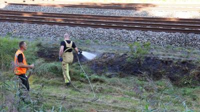 bermbrand-spoor