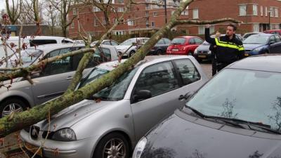 Boom valt op auto  