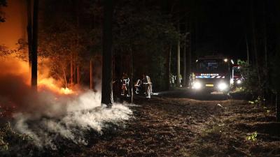 bosbrand-donker