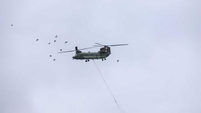 chinook-blussen