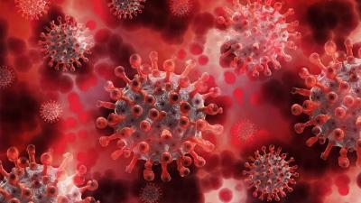 corona-virus-spikes-eiwit-variant corona-virus-spikes-eiwit-variant