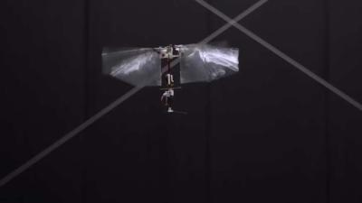 Delfse drone imiteert insectenvlucht