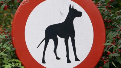 hond-dobermann-verbodsbord hond-dobermann-verbodsbord