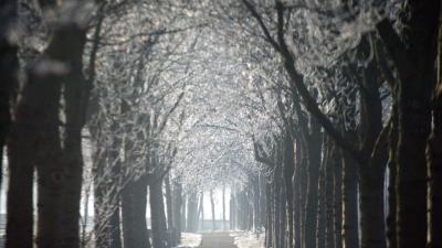 Het Groninger Landschap verwerft 105 ha in het Zuidlaardermeergebied