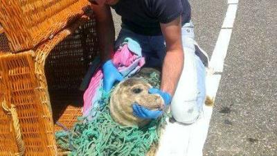 Zeehondencrèche en Groningen Seaports gaan samen visnetten recyclen
