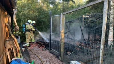 Brandweer blust brand