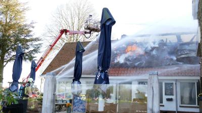Brand in restaurant