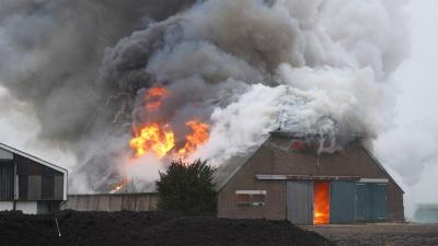 Grote  brand