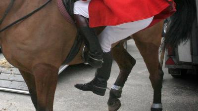 ruiter-paard ruiter-paard