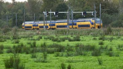spoor-trein spoor-trein